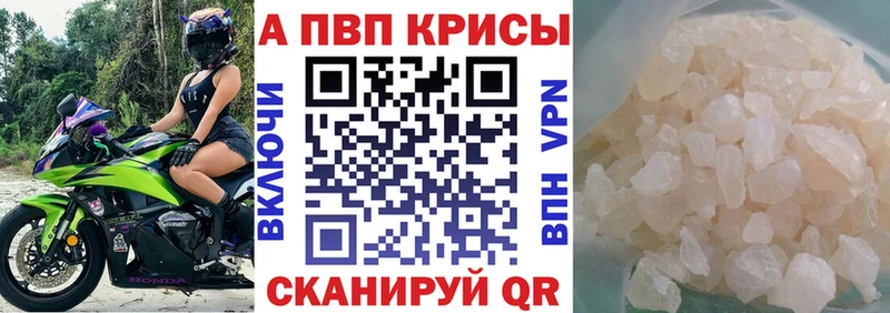 A-PVP СК КРИС  Белгород 