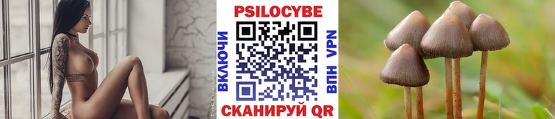 наркотики  Белгород  Галлюциногенные грибы Cubensis 